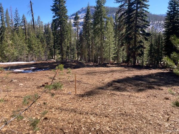 8715 Johnson Pass Road, Twin Bridges, CA 96150