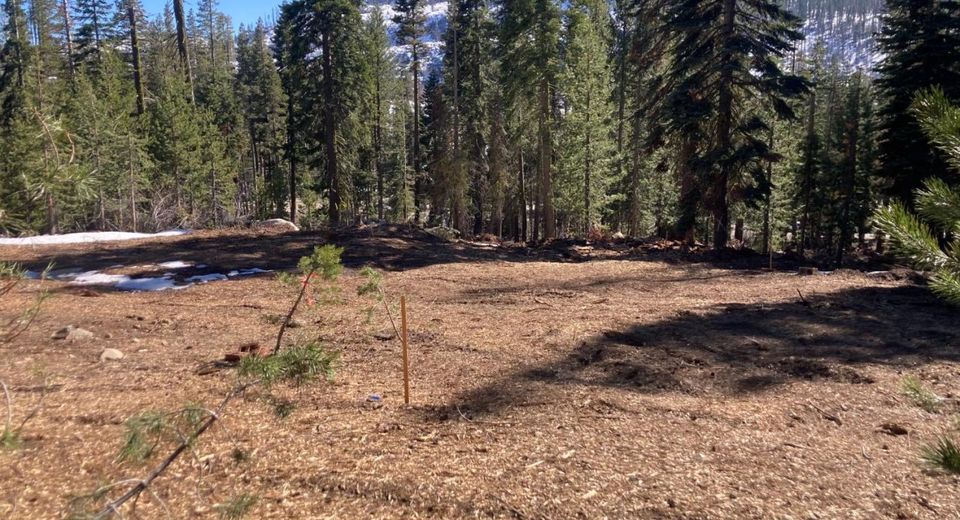 8715 Johnson Pass Road, Twin Bridges, CA 96150 Photo