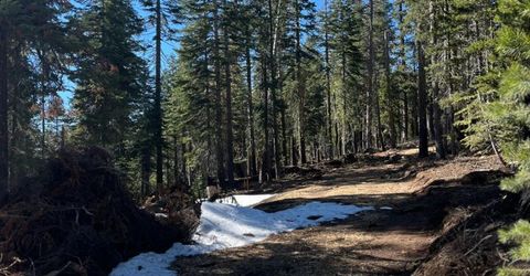 8715 Johnson Pass Road, Twin Bridges, CA 96150 Photo