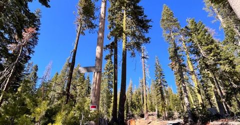 8715 Johnson Pass Road, Twin Bridges, CA 96150 Photo