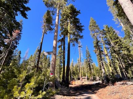 8715 Johnson Pass Road, Twin Bridges, CA 96150 Photo