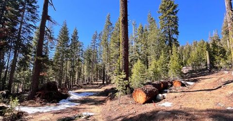 8715 Johnson Pass Road, Twin Bridges, CA 96150 Photo