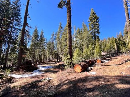 8715 Johnson Pass Road, Twin Bridges, CA 96150 Photo