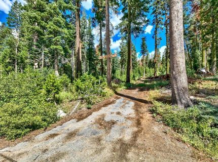 8715 Johnson Pass Road, Twin Bridges, CA 96150 Photo