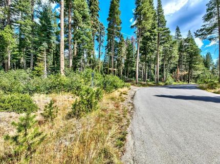 8715 Johnson Pass Road, Twin Bridges, CA 96150 Photo