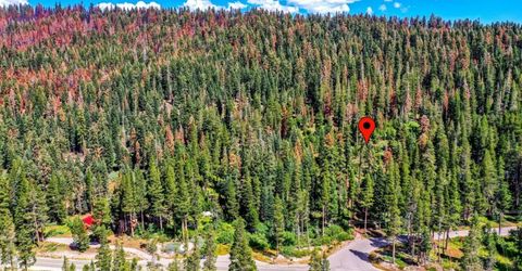 8715 Johnson Pass Road, Twin Bridges, CA 96150 Photo