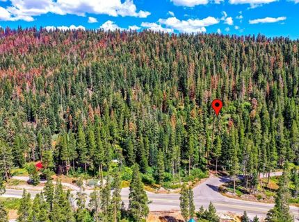 8715 Johnson Pass Road, Twin Bridges, CA 96150 Photo