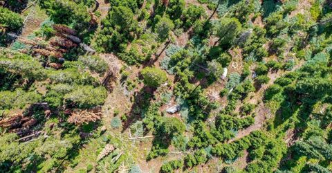 8715 Johnson Pass Road, Twin Bridges, CA 96150 Photo