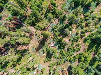 8715 Johnson Pass Road, Twin Bridges, CA 96150 Photo