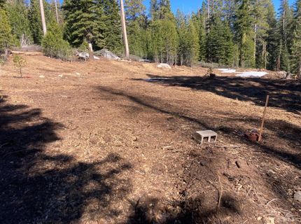 8715 Johnson Pass Road, Twin Bridges, CA 96150 Photo