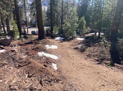 8715 Johnson Pass Road, Twin Bridges, CA 96150 Photo