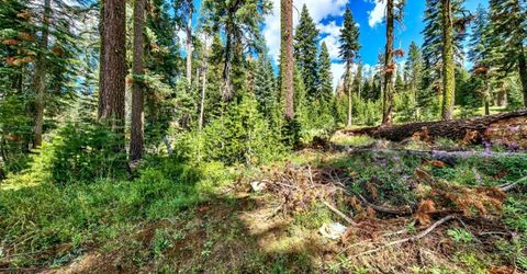 8715 Johnson Pass Road, Twin Bridges, CA 96150 Photo