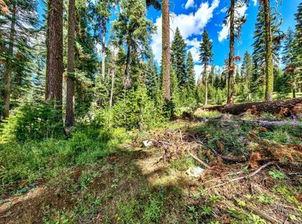 8715 Johnson Pass Road, Twin Bridges, CA 96150 Photo