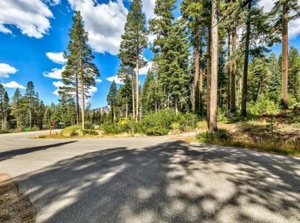 8715 Johnson Pass Road, Twin Bridges, CA 96150 Photo