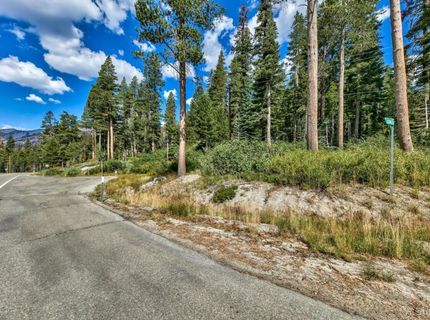 8715 Johnson Pass Road, Twin Bridges, CA 96150 Photo