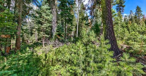 8715 Johnson Pass Road, Twin Bridges, CA 96150 Photo