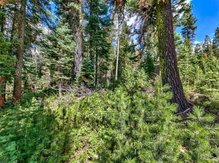 8715 Johnson Pass Road, Twin Bridges, CA 96150 Photo
