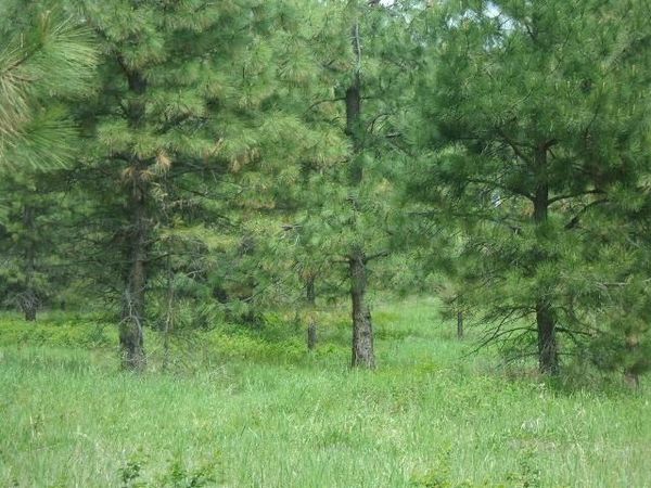 X12X Hoag Rd, Valley, WA 99181