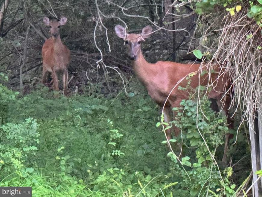 3515 B Clayton Road , Joppa, MD 21085 Main Photo