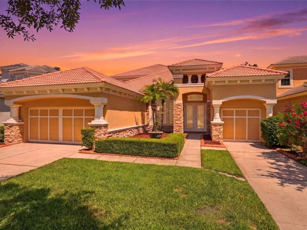 11637 BRISTOL CHASE DRIVE, TAMPA, FL 33626