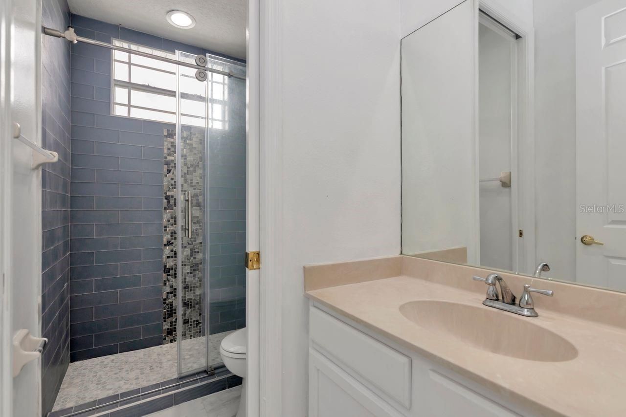 11637 Bristol Chase Drive, Tampa, FL 33626 Photo
