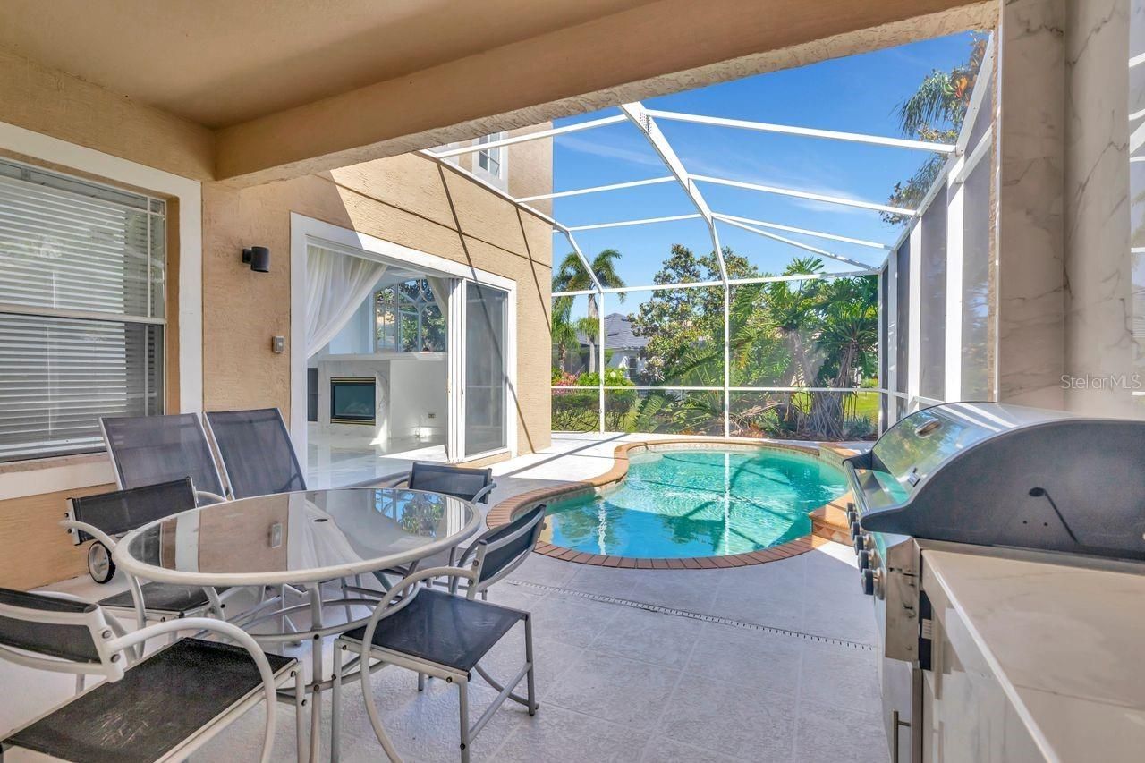 11637 Bristol Chase Drive, Tampa, FL 33626 Photo