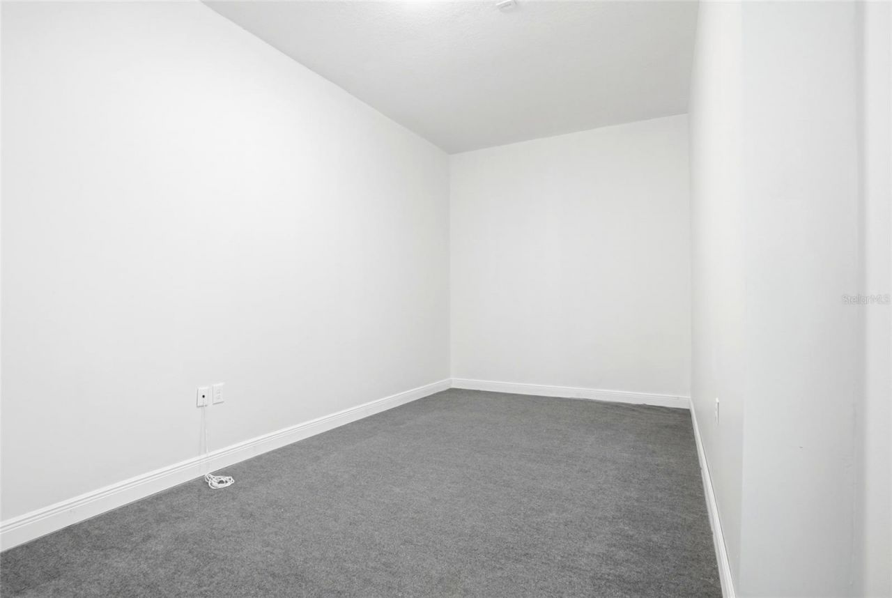 11637 Bristol Chase Drive, Tampa, FL 33626 Photo