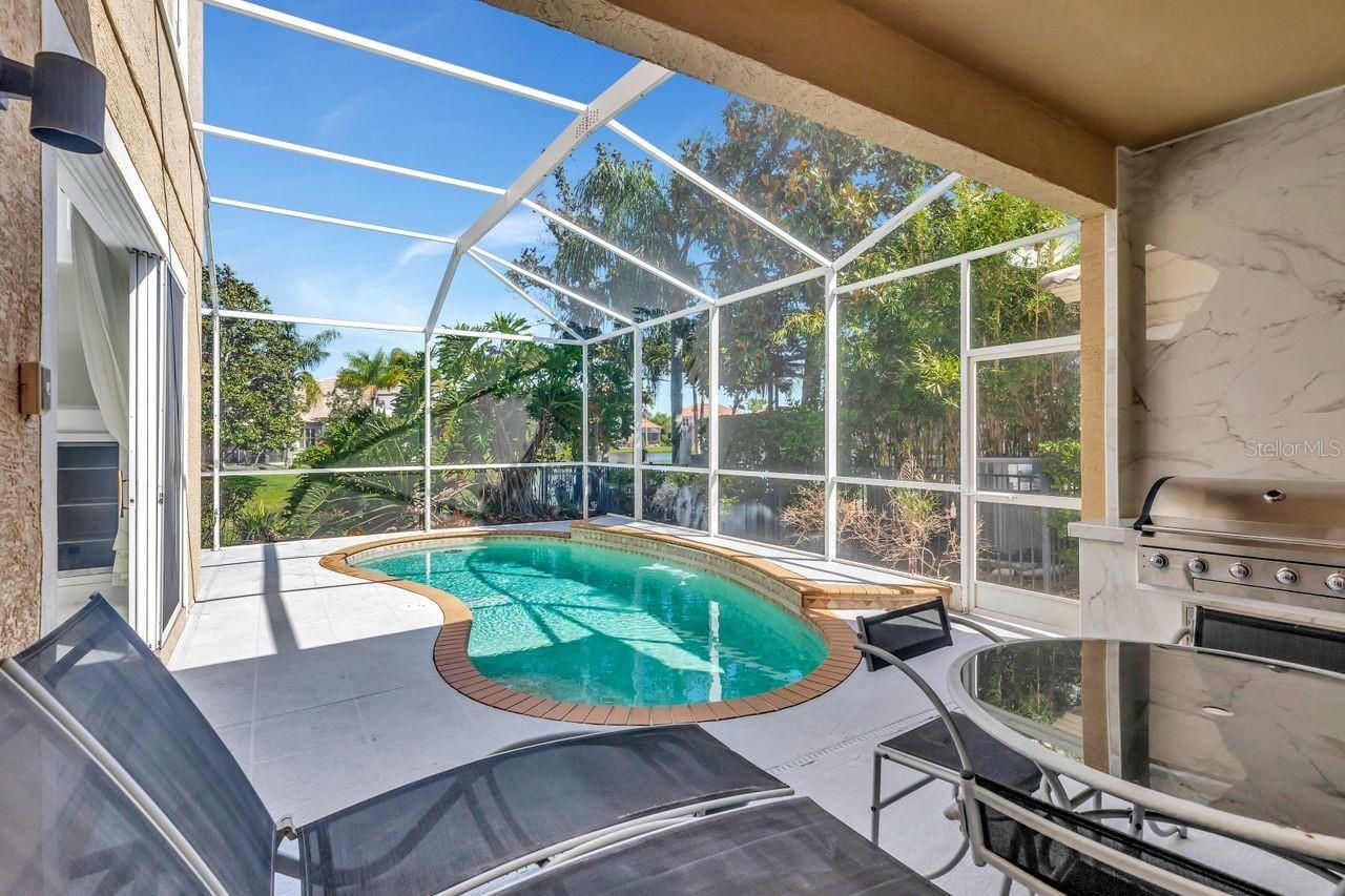 11637 Bristol Chase Drive, Tampa, FL 33626 Photo