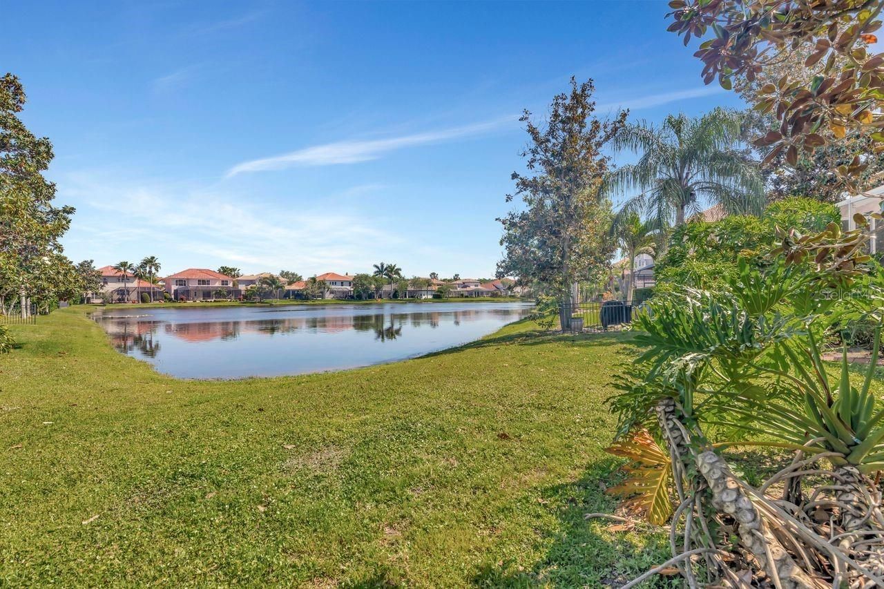 11637 Bristol Chase Drive, Tampa, FL 33626 Photo