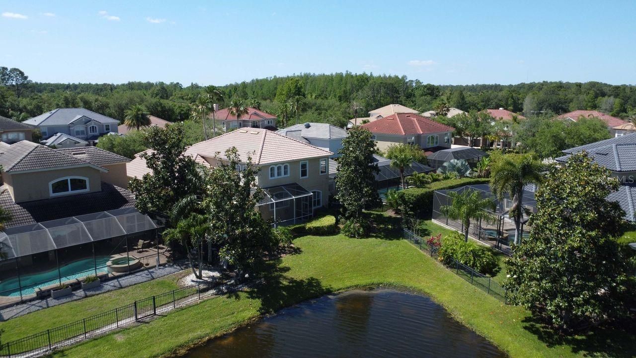 11637 Bristol Chase Drive, Tampa, FL 33626 Photo