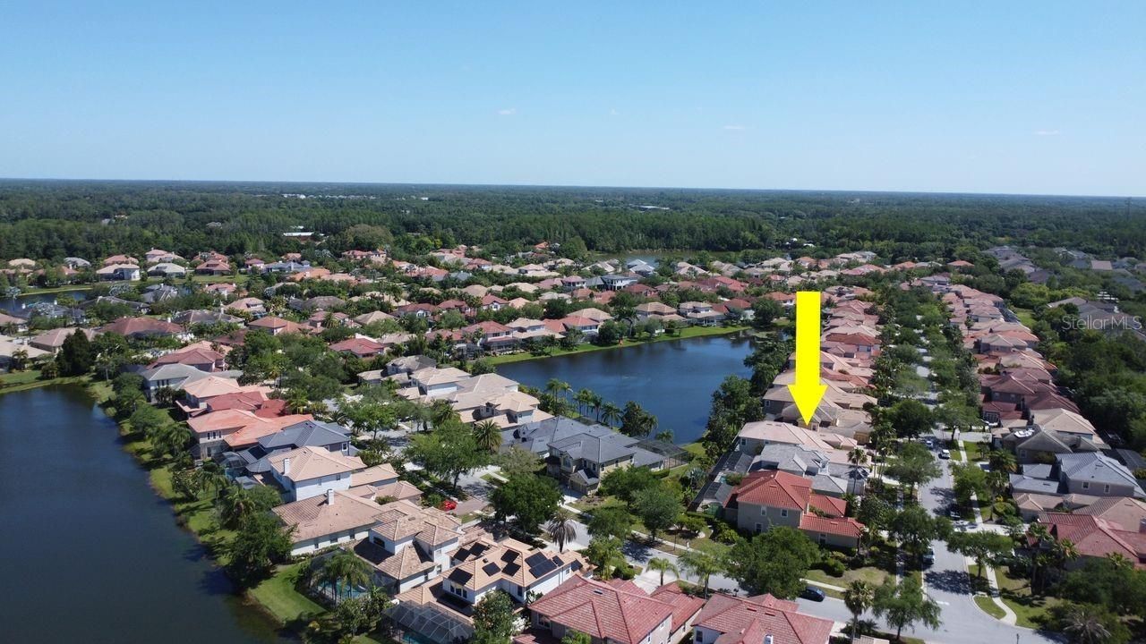 11637 Bristol Chase Drive, Tampa, FL 33626 Photo
