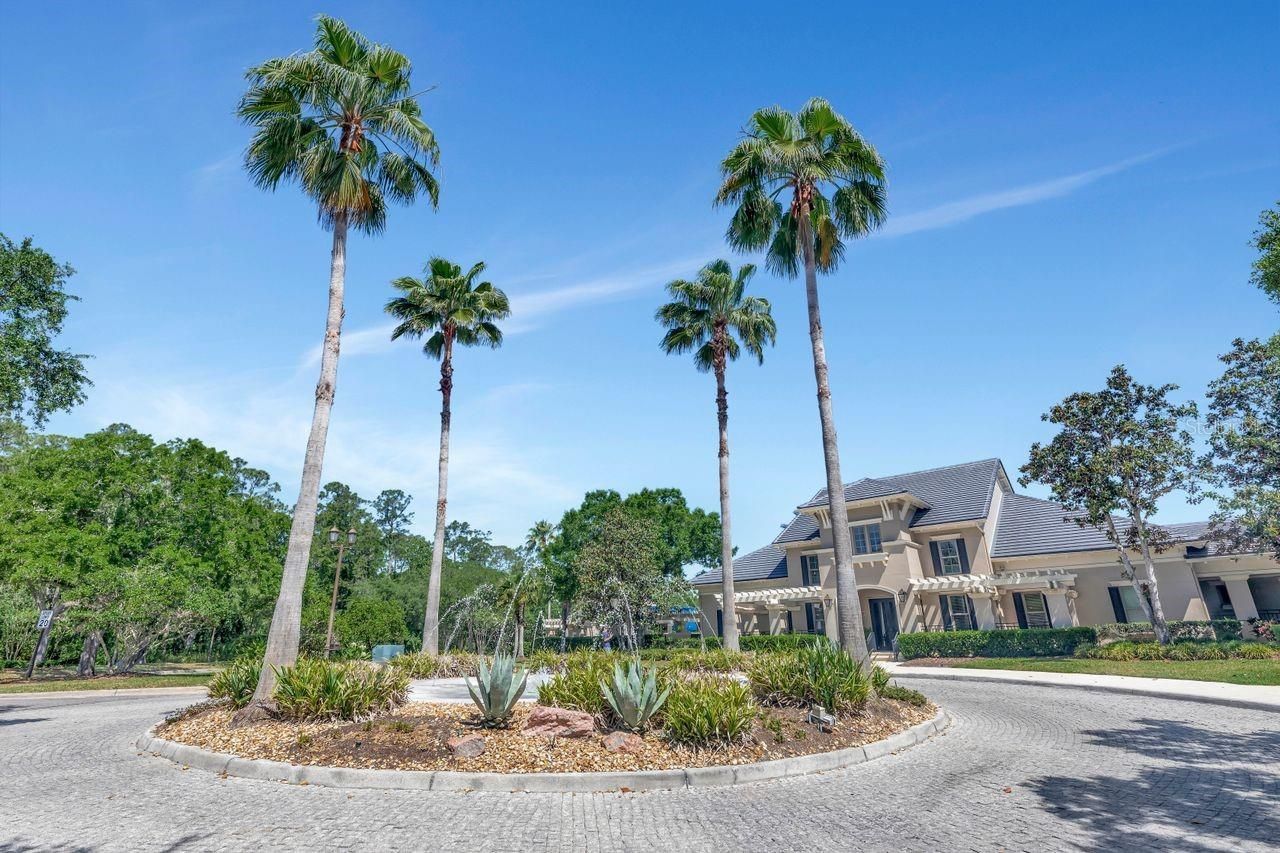 11637 Bristol Chase Drive, Tampa, FL 33626 Photo