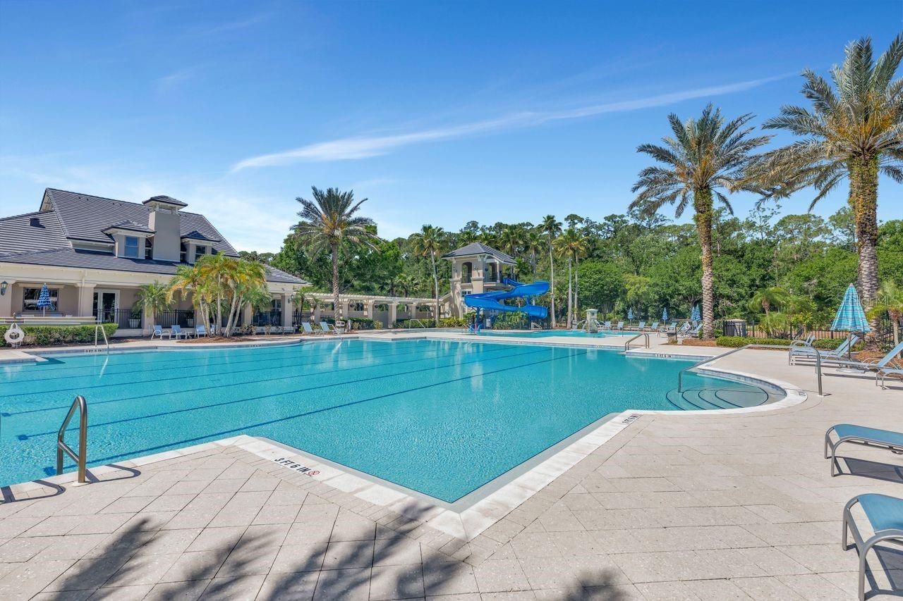 11637 Bristol Chase Drive, Tampa, FL 33626 Photo