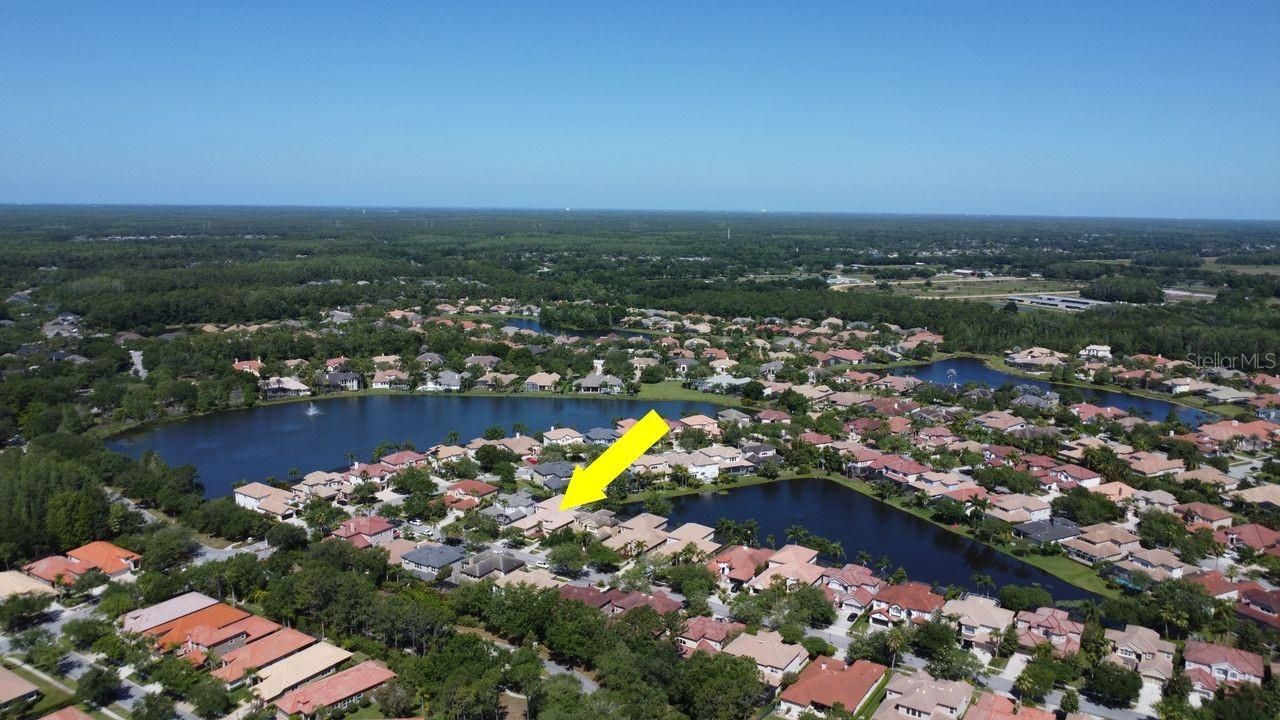 11637 Bristol Chase Drive, Tampa, FL 33626 Photo