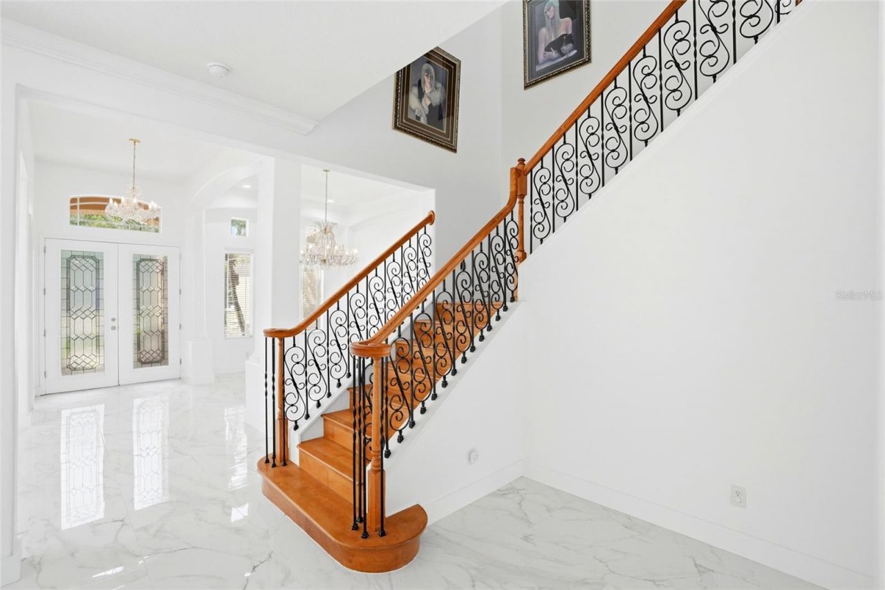 11637 Bristol Chase Drive, Tampa, FL 33626 Photo