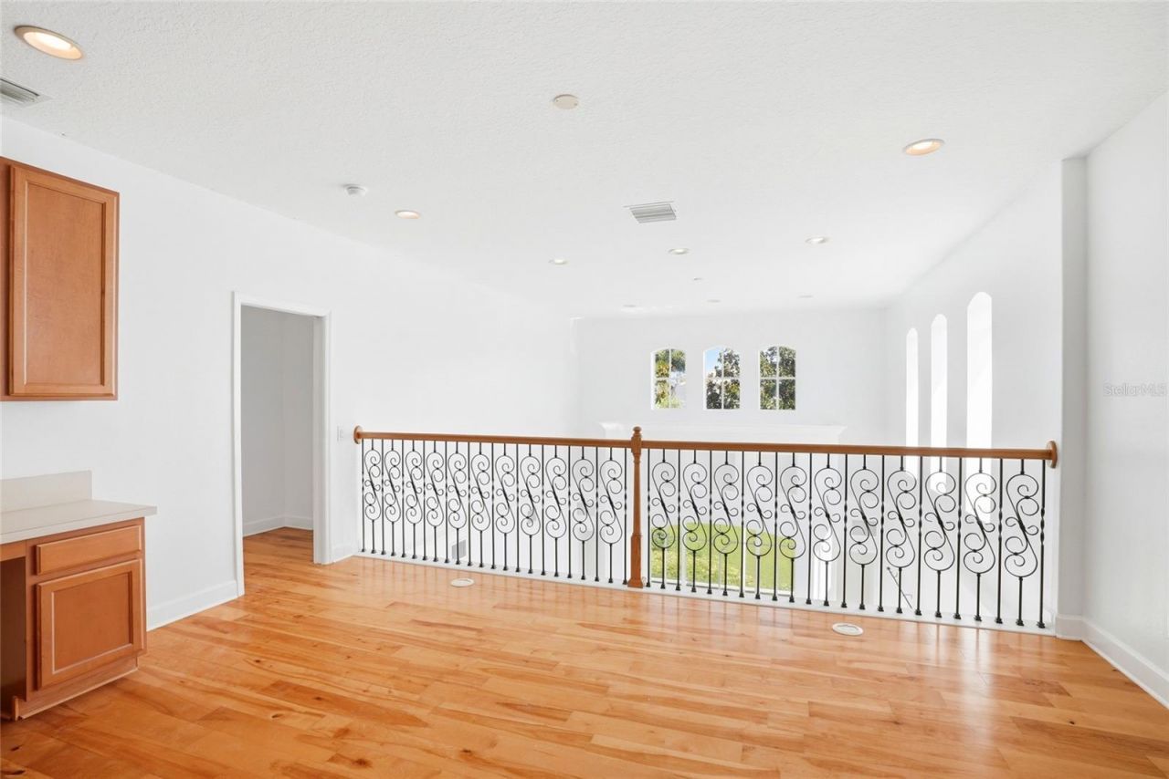 11637 Bristol Chase Drive, Tampa, FL 33626 Photo