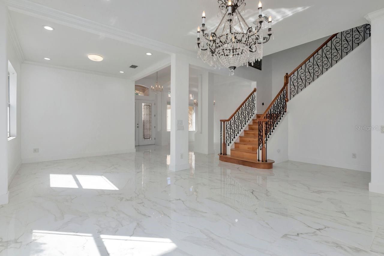 11637 Bristol Chase Drive, Tampa, FL 33626 Photo