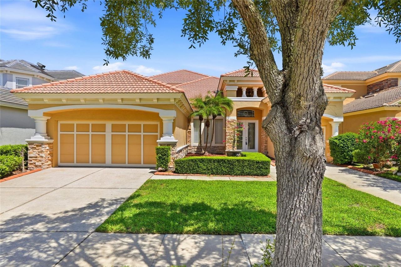 11637 Bristol Chase Drive, Tampa, FL 33626 Photo