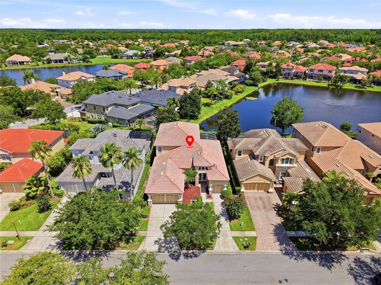 11637 Bristol Chase Drive, Tampa, FL 33626 Photo