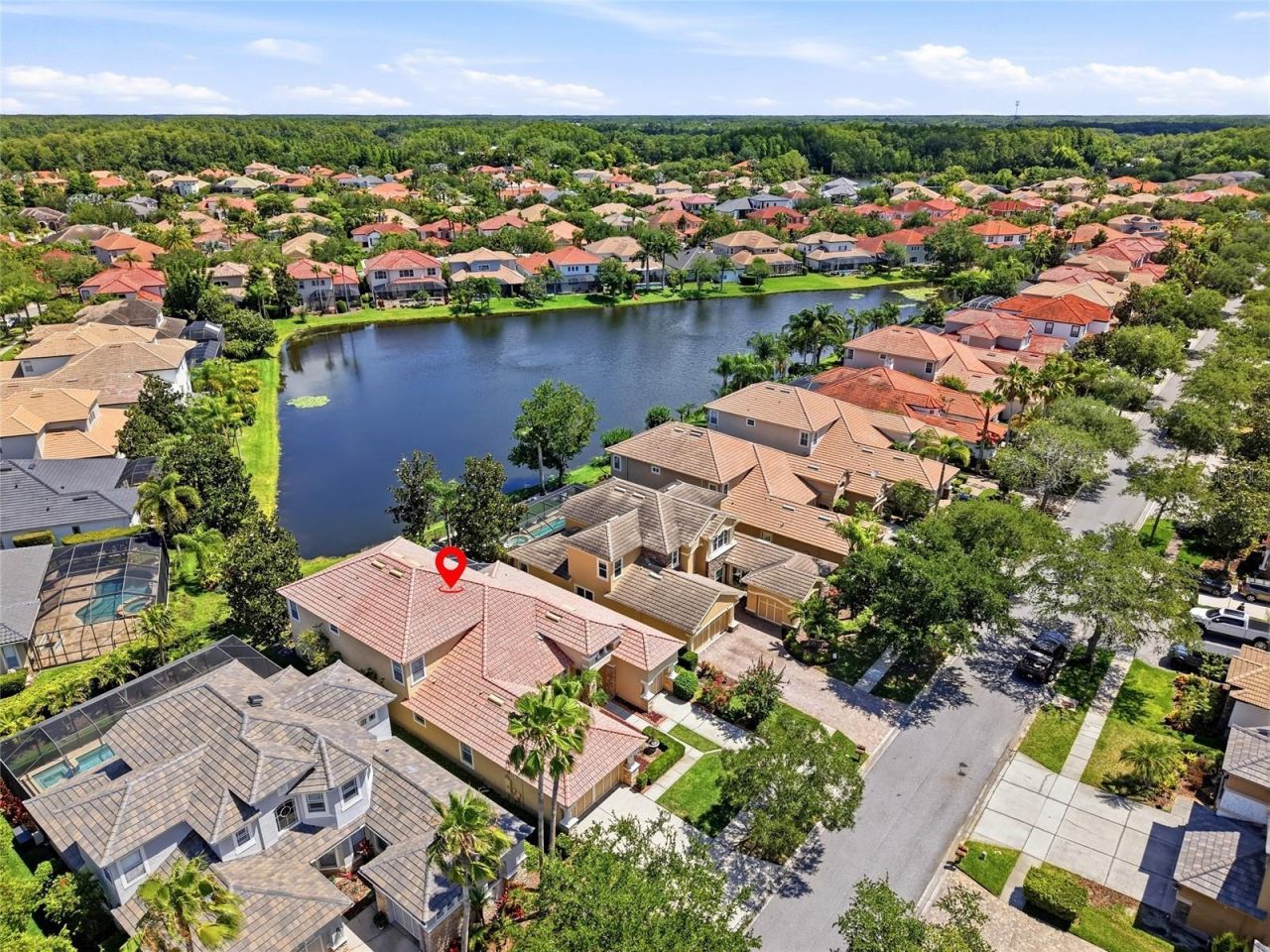11637 Bristol Chase Drive, Tampa, FL 33626 Photo