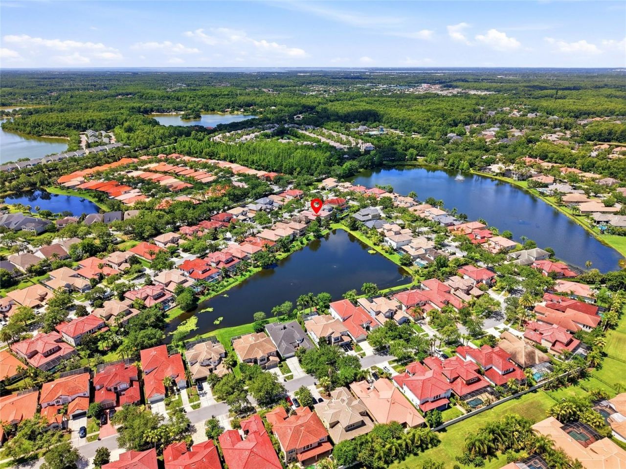 11637 Bristol Chase Drive, Tampa, FL 33626 Photo