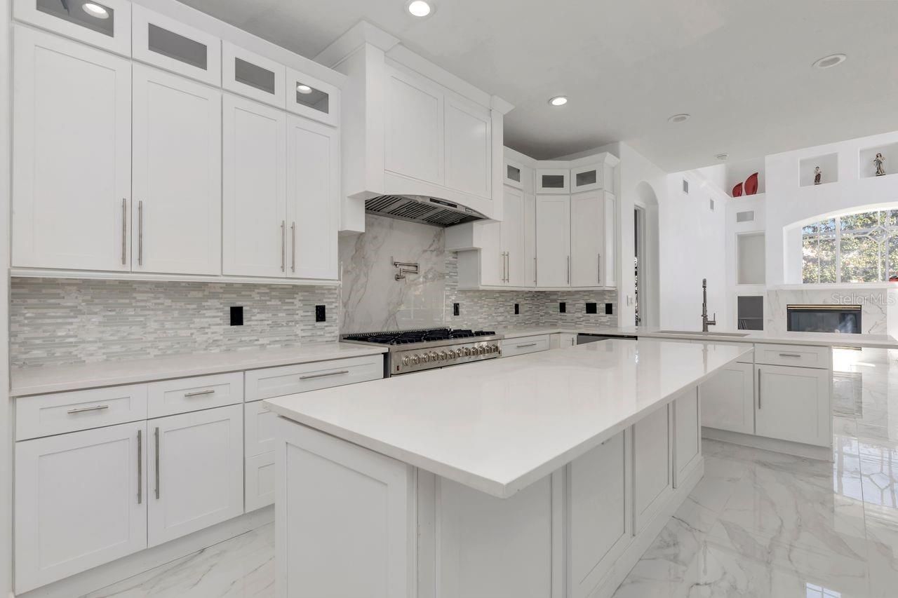 11637 Bristol Chase Drive, Tampa, FL 33626 Photo