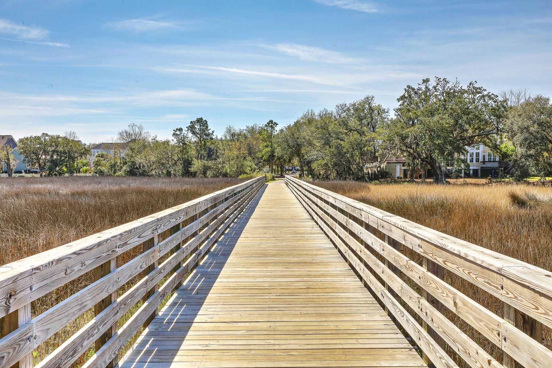 114 Etiwan Park Street Photo 41