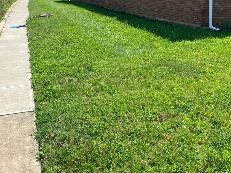 1913 Denune Avenue, Columbus, OH 43211 Photo 3