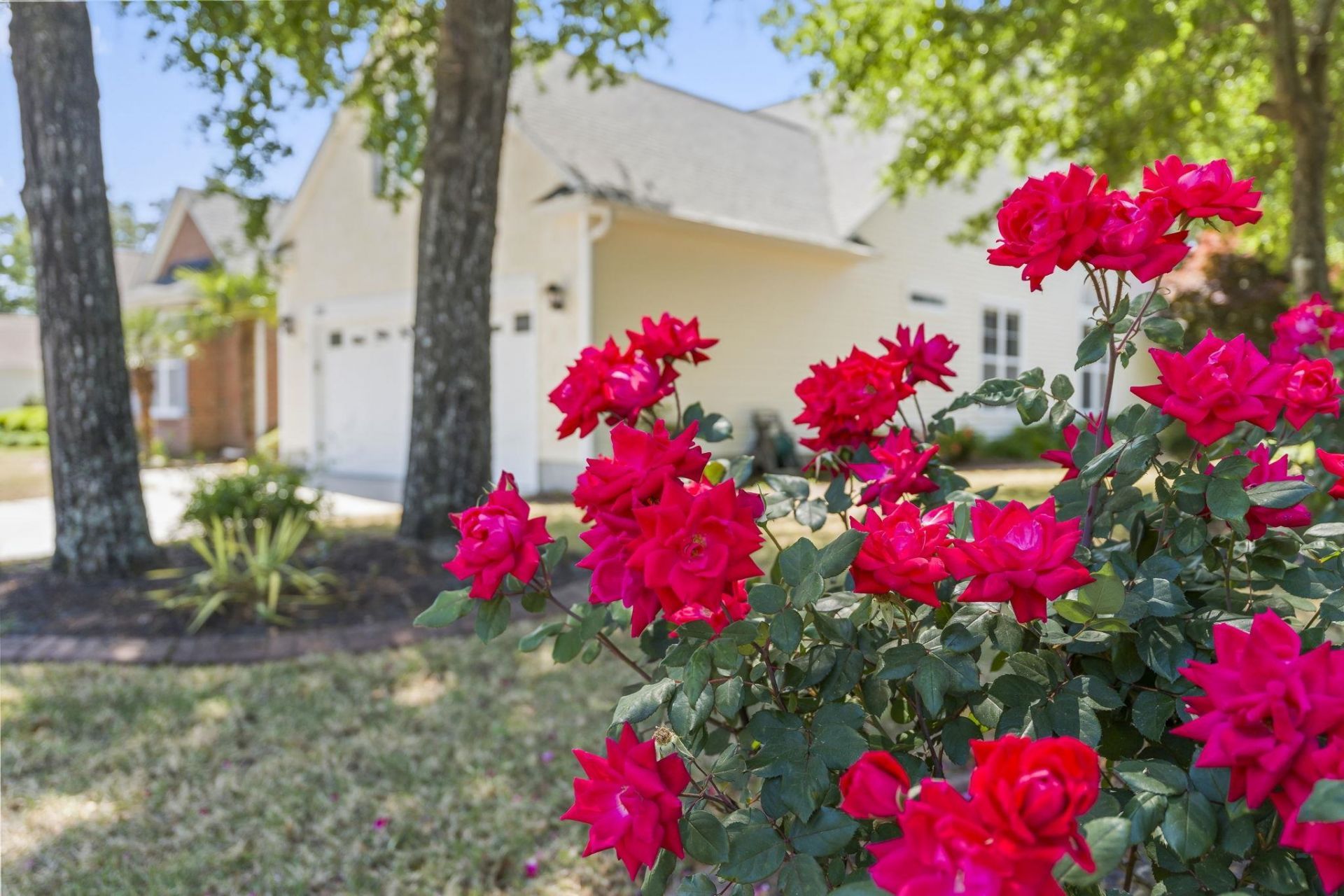 259 Barony Pl. Photo 25