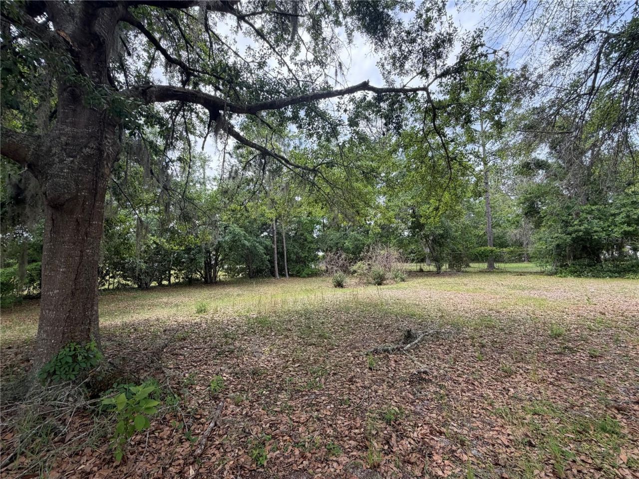 24138 Panther Road, Astor, FL 32102 Photo