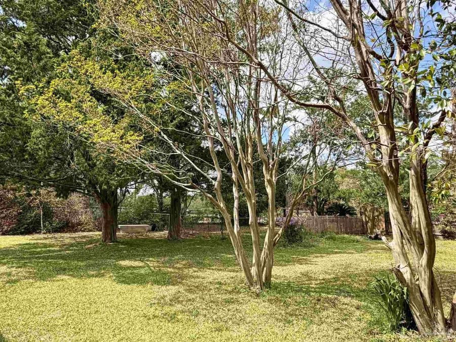 Property Image 56