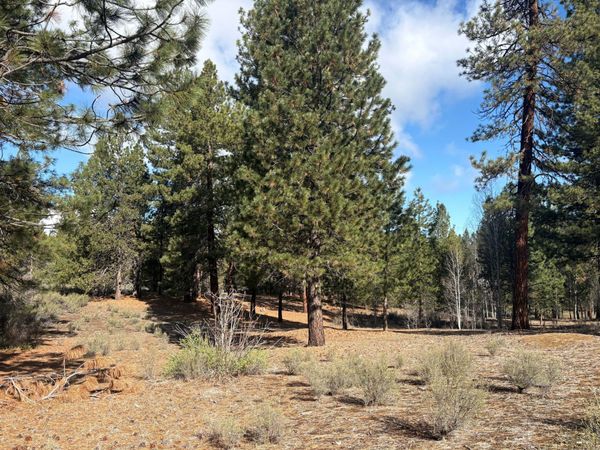 0 Pine Ridge Loop, Unit Lot 5, Chiloquin, OR 97624