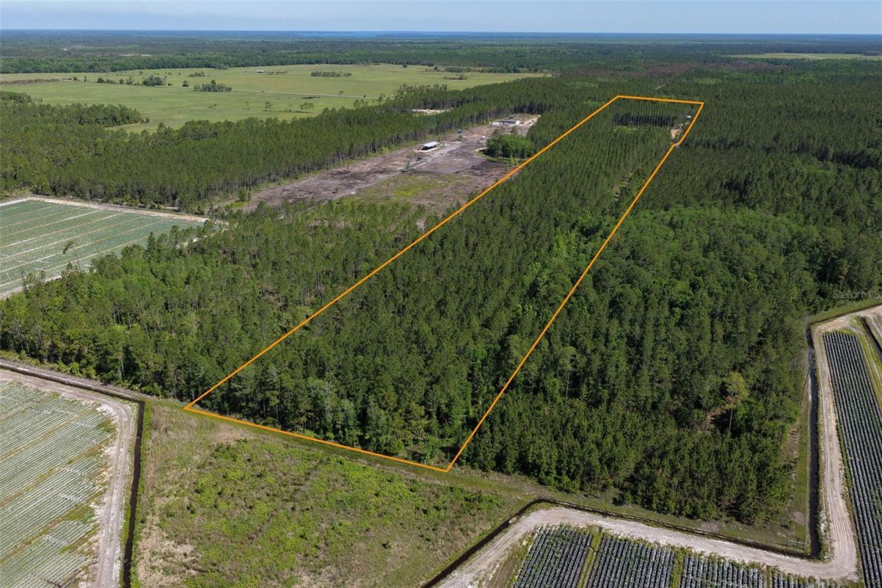15539 County Rd 305 , Bunnell, FL 32110 Photo