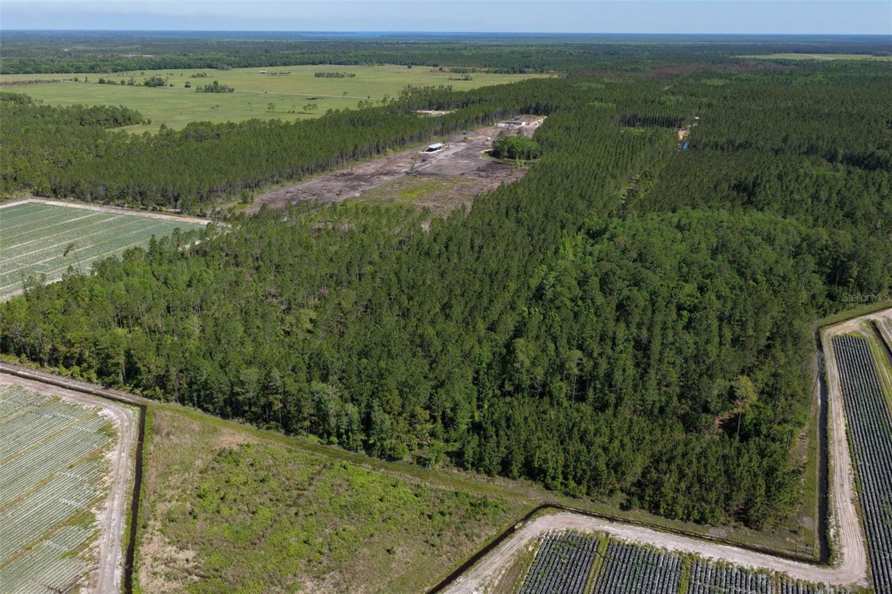 15539 County Rd 305 , Bunnell, FL 32110 Photo